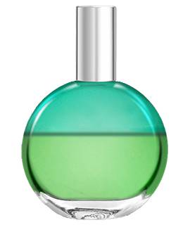 C4. Heart Chakra (Turquoise / Green)